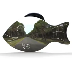 Kiva Balık Kör Nokta Bebek Aynası 86x165 mm